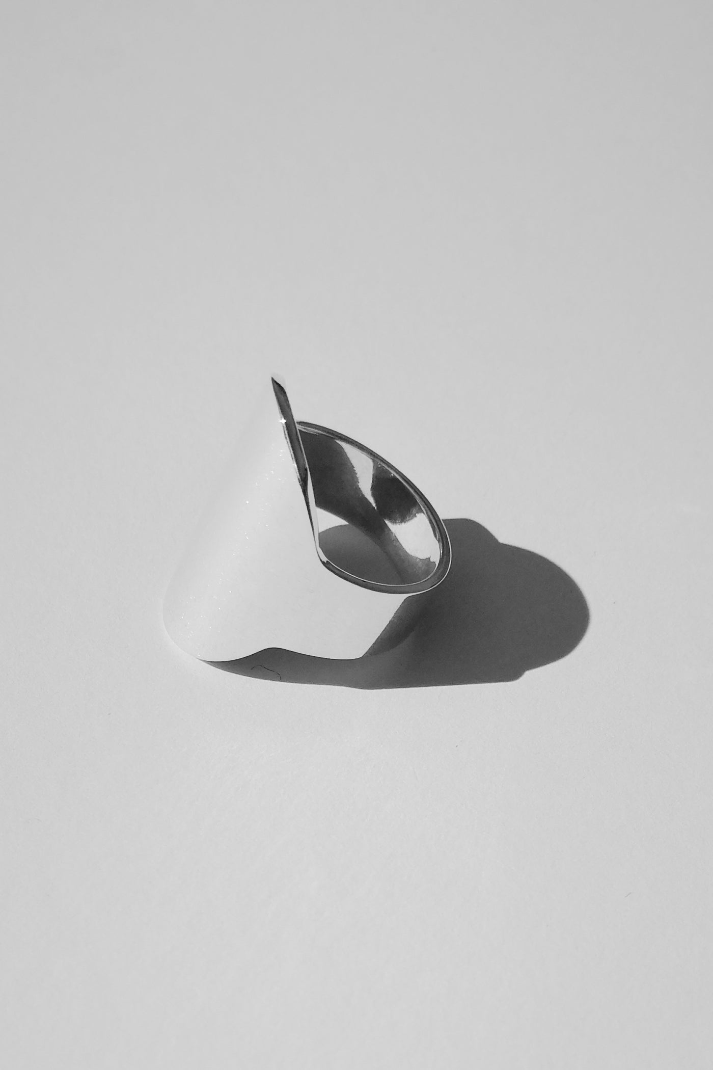 Disc ring no2